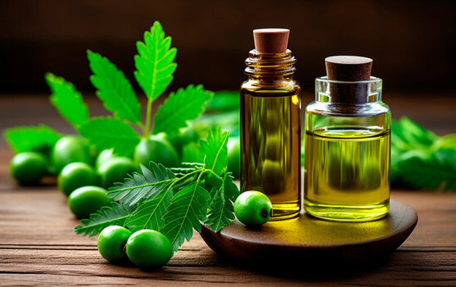 Neem Oil (30mls)