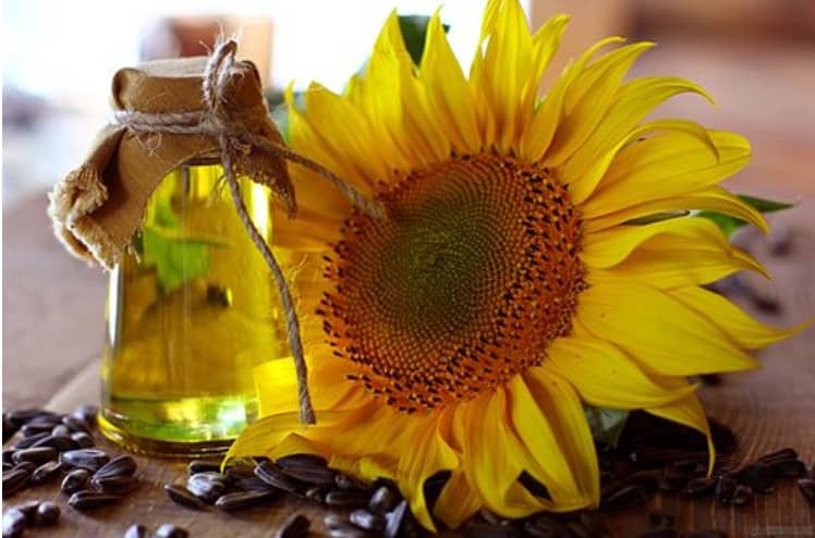 Sunflower Oil (250mls)